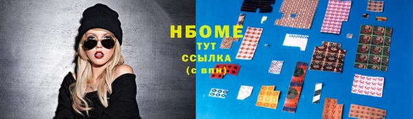прущие грибы Дмитриев