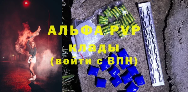 прущие грибы Дмитриев