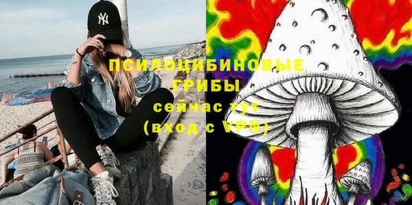 прущие грибы Дмитриев