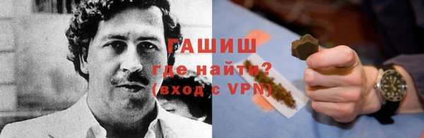 прущие грибы Дмитриев