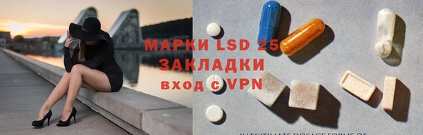 прущие грибы Дмитриев