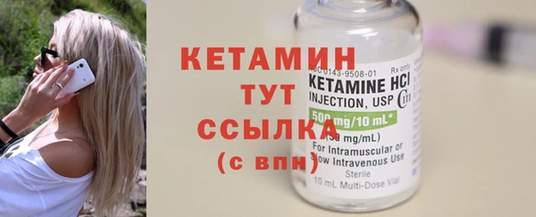 прущие грибы Дмитриев