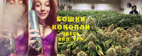 прущие грибы Дмитриев