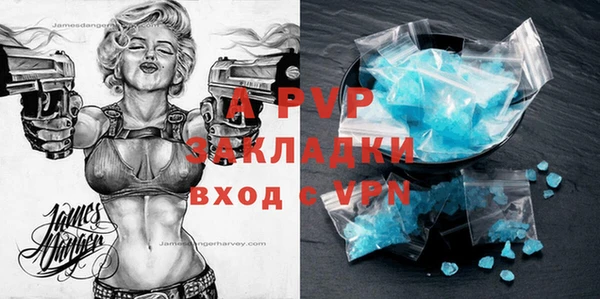 прущие грибы Дмитриев