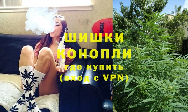 прущие грибы Дмитриев