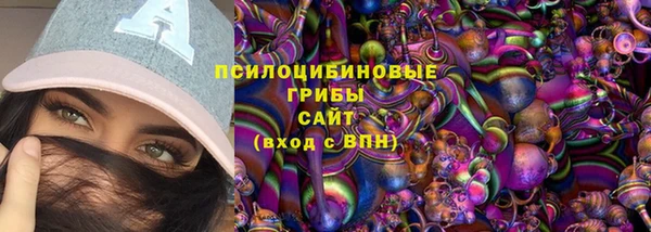 прущие грибы Дмитриев