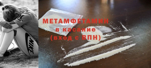 прущие грибы Дмитриев