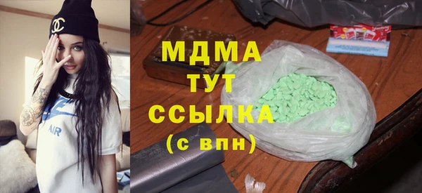прущие грибы Дмитриев